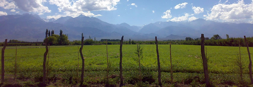 Mendoza